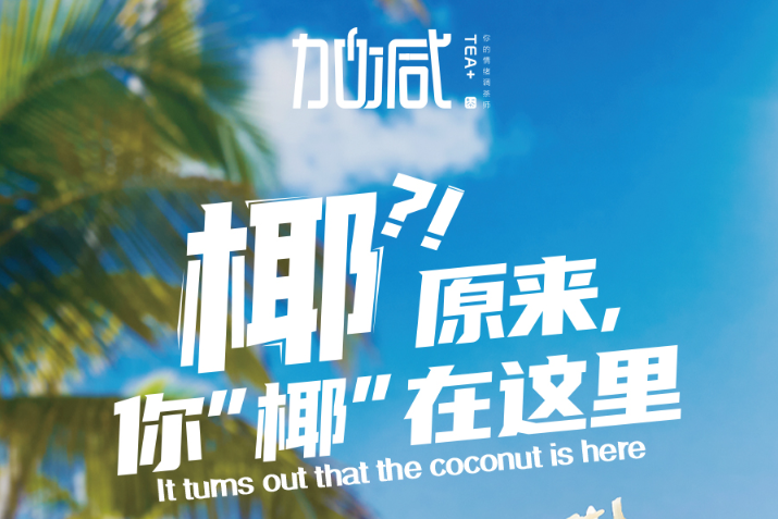 趣投网椰子系列新品火爆上市